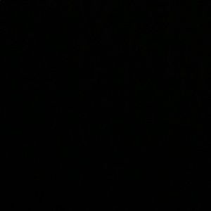 Meet your Posher, Chasen